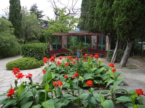 Flowerbed with beautiful red flowers on a long green stem near the semicircular gazebo