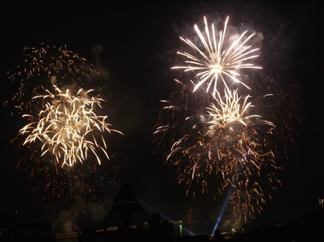 ire spray of salute in the night sky incredible beauty decoration of any holiday
