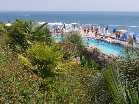 The hill is covered with reddish bouquets and palm trees by the pool on the background of the sea