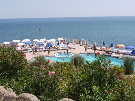 blooming alendra near a beautiful pool with blue water and umbrellas around the sea