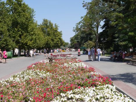 Rectangular, striped flower bed dividing the pavement into two parts. She has stripes of red and white flowers