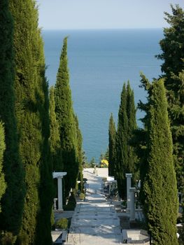 Alley with slender tall bushes on the sides leads directly to the warm waves of the blue sea
