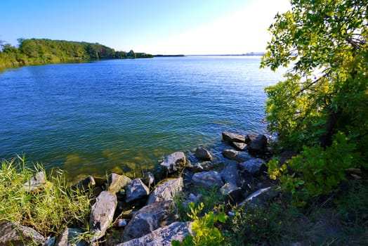 shore with sharp rocks and reeds near the pond