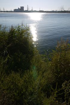 The rays of the bright summer sun are reflected in a blue transparent pond against the background of coastal buildings