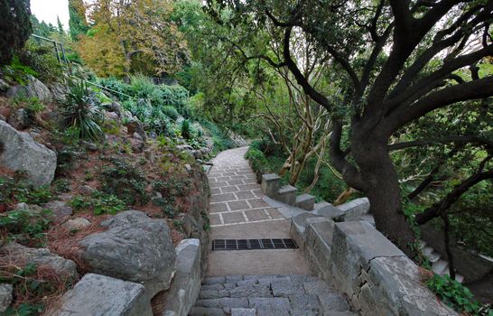 Beautiful view in the park with growing green plants with a variety of stones and trees growing along the path going down lined with tiles.