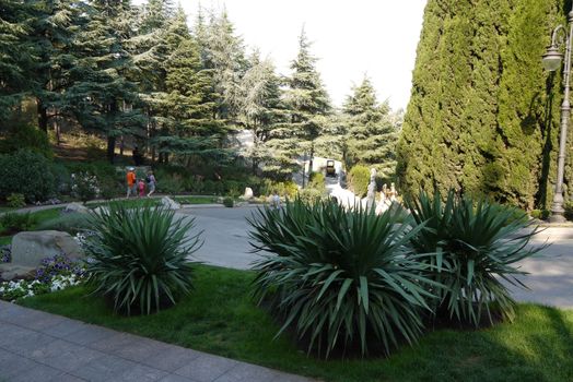 A small flowerbed among the park, where on the lawn grow bushes with long pointed leaves. To the left lie a few stones with blue petunias around them