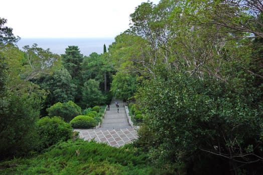 good view of the stone steps located between the deciduous trees