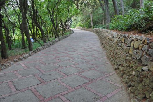 an excellent path in the park lined with tiles with trees on one side and a low wall of stone with the opposite