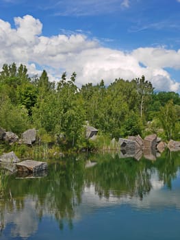 birch on a rocky shore of a lake under white fluffy clouds in the sky