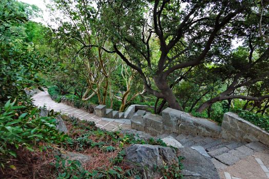 A ladder lined with stone in a park between outlandish plants and trees