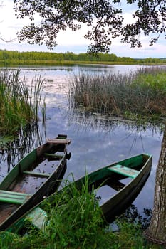 Fishing boats with water flowing in them moored to a tree on the river