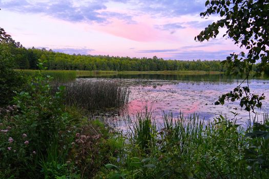 reflection of a pink sunset sky on the surface of a lake or river, surrounded by green grass, duckweed, trees and bushes. resting place, fishing and picnic