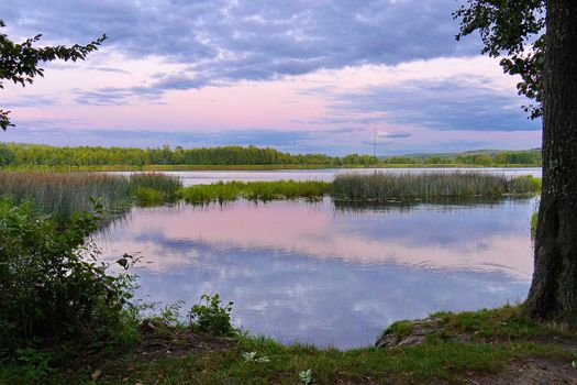 A pink-blue sunset and a beautiful lake divided by a scythe with reeds and other plants