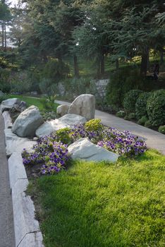 flower bed with stones and blue petunia along the pedestrian walkway in the park