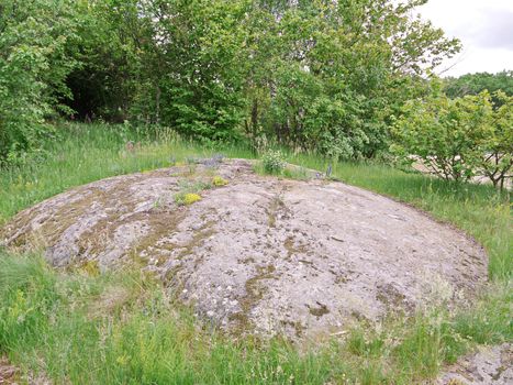 large flat stone with flowers in the middle of the clearing