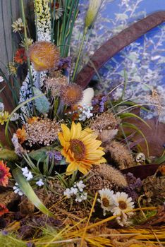 bright bouquet from a variety of dried flowers. chamomile, spikelet, sunflower, acacia, reeds and other wildflowers in ekinbane