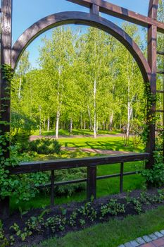 Beautiful, green, spring park with birches. The photo of which is made through a railing