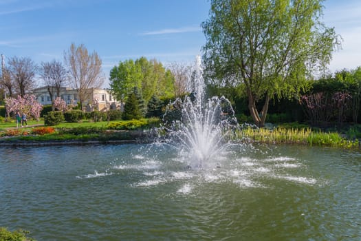 Fountain with clear water hitting in the middle of the pond on the background of people walking along the path and flowering trees.