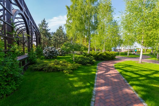 Beautiful scenery in the park on a clear sunny afternoon with a variety of green spaces in the form of birches of lawns and flowers.