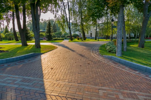 Tiled spacious alleys against the background of the green park zone
