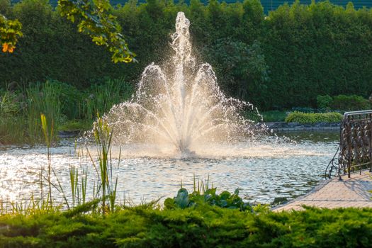 A magnificent view of a fountain in a pond with clear water with flying splashes of water splashed against the background of emerald green vegetation in the park.