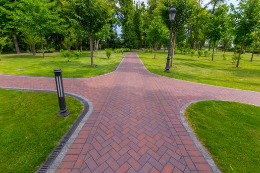 A red-tinted alley lined with smoothly cut out lawns and green trees