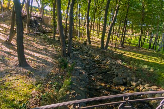 A small forest source among the round and oval stones between the trees