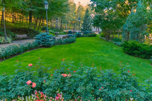 A promenade with comfortable wooden benches and flower beds with roses on a green lawn