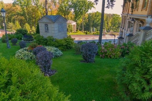 magnificent decorative bushes on the green slope growing next to the house with a staircase with a graceful design