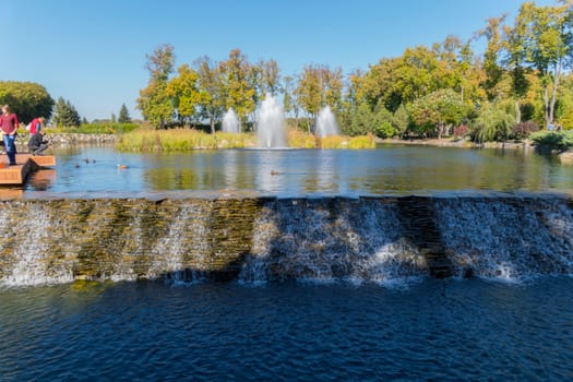 waterfall in a lake with ducks on a background of fountains
