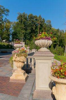 flowerbeds on pillars in the bowls near the railing on the square in the park