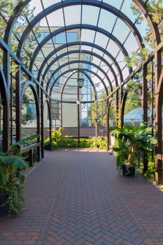 The greenhouse in the garden with green palms in the horsemen. And Granite tiles on the floor