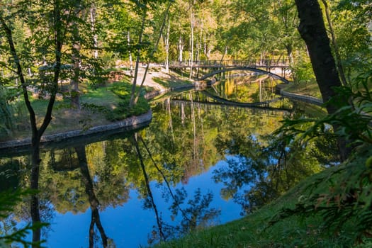river with reflection of trees and bridge