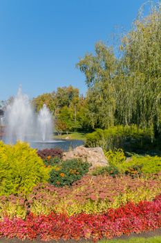 Weeping willow in the shade of which you can have a good rest on the shore of a pond with a fountain