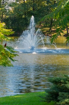 A magnificent view through the green foliage to the fountain high transparent streams beating over the surface of the water.