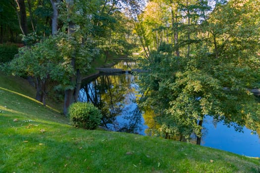 The river in the green ravine of the city park reflects the crown of trees