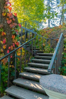 A winding steep staircase with stone steps and iron rails against the background of beautiful climbing plants