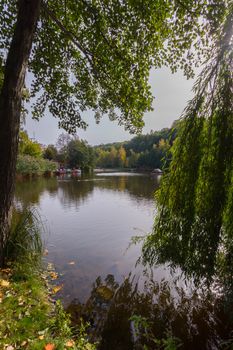 a large pond with weeping willows on the shore and a wooden house for birds in the middle