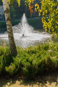 Spray fountains sparkle in the sun falling into a lake near the green shores. Novi Petrivtsi, Ukraine