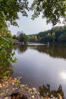 wide river between green trees, in the middle of which there are houses for ducks