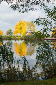 beauty of autumn trees with golden foliage reflected on the water surface