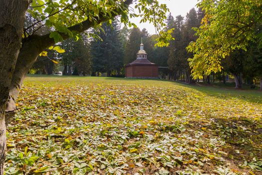 wooden church in the sunny glade among the autumn park with fir trees