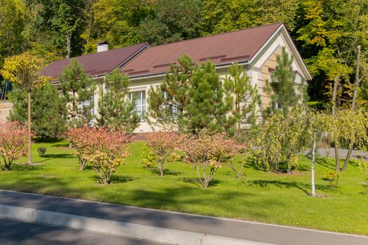 A modern house with a tiled roof near tall trees with deciduous foliage