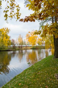 A magnificent autumn day landscape with trees growing on the bank of the river, dressed with autumn dresses and fallen leaves in the grass.