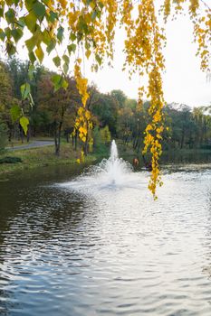 splashes of water splashed from the fountain along the water under the hanging branches of birch