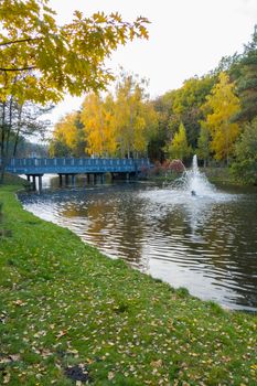 artificial fountain on a river near a blue bridge with hanging over the shores of golden leaves of a tree