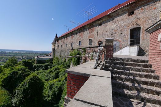 stone stairs to the walls of the castle palaces covered with green ivy