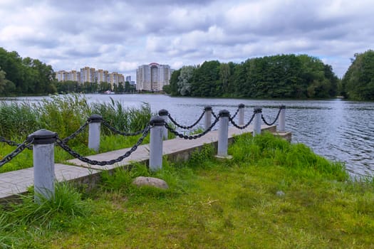 Pavement in the city park against the background of reeds and high-rise buildings