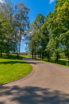 A path in the park with green lawns on the sides and growing trees with a blue bright sky above them. A good place in a beautiful place for recreation and walking.