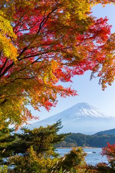 Mountain Fujisan in autumn